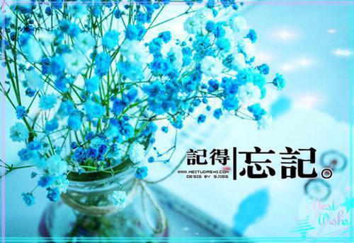 颜初夏霍辞砚全文免费（霍辞砚颜初夏）完结阅读无弹窗大结局_颜初夏霍辞砚全文免费最新章节列表（霍辞砚颜初夏）