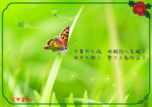 情人节表白情书经典语录
