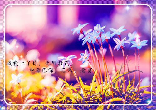 裴沧瀚冉夕槿（冉夕槿裴沧瀚)全文免费阅读大结局_(裴沧瀚冉夕槿)最新章节