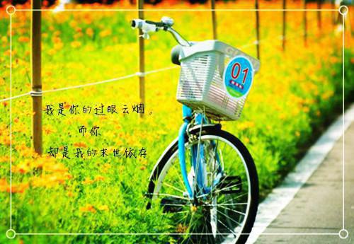 余生不再为你难过宋若初顾南浔全集最新小说阅读