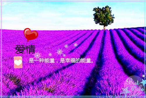 安全感男友池萌海啸小说全文免费阅读