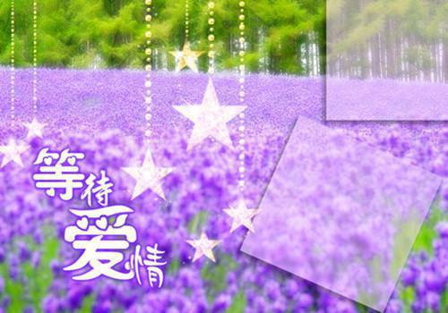 裴湛许念安(许念安裴湛小说)全文免费阅读无弹窗大结局_裴湛许念安小说免费阅读最新章节列表（许念安裴湛小说）