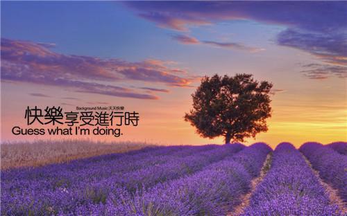 失忆后我拒做舔狗老婆求我别离婚宝藏书荒必读（苏雪）全文免费阅读无弹窗大结局_失忆后我拒做舔狗老婆求我别离婚最新章节列表（苏雪）