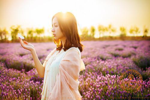 傅西洲简宁：一别西洲傅西洲（傅西洲简宁）全文免费阅读无弹窗_傅西洲简宁：一别西洲傅西洲最新小说（傅西洲简宁）