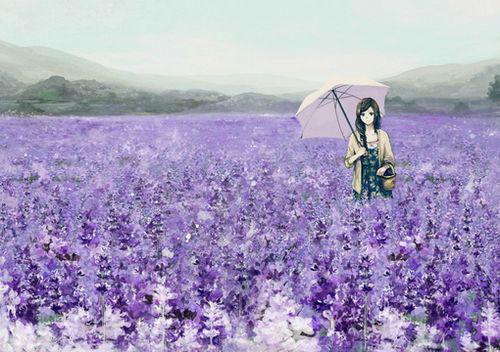 东京：我向坏女人发起复仇全文免费阅读 藤井树荻原目录