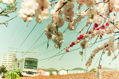 顾宜宁陆斯承书名是《顾宜宁陆斯承》在线赏析_顾宜宁陆斯承txt小说阅读_顾宜宁陆斯承在线阅读