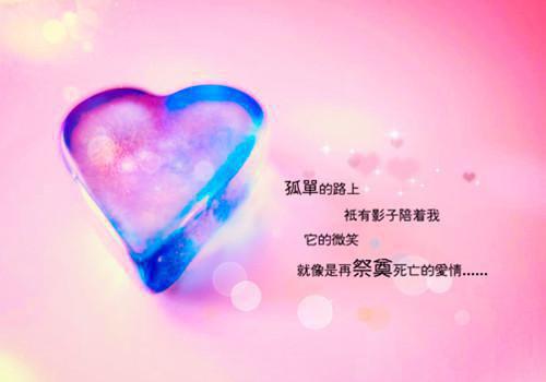 陆辞江尤絮小说免费下载阅读_(江尤絮陆辞)陆辞江尤絮最新章节列表(番外)+(全文)（江尤絮陆辞）