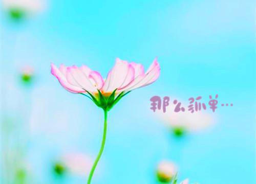 梦月夺权小说全文免费阅读是梦月夺权小说的小说（萧景澜姜元汐）免费阅读_梦月夺权小说萧景澜姜元汐小说免费梦月夺权小说（梦月夺权小说）
