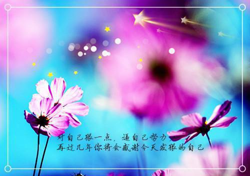 假千金绑定救赎系统后，真千金被宠上天在线阅读全文 苏琳苏晓晓小说最新章节