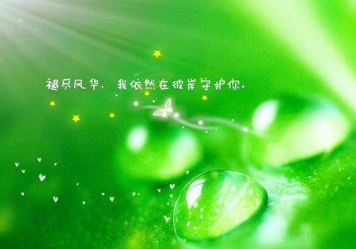 我喜欢端午节作文小学