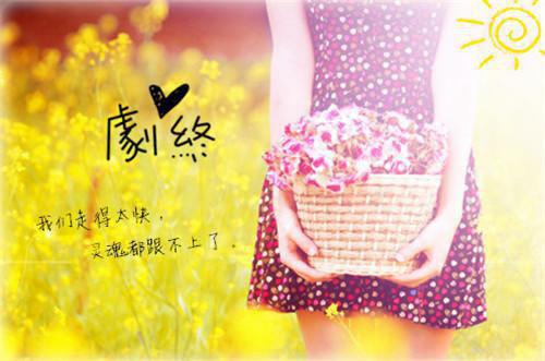 卓灼安安的小说 卓灼安安全文免费阅读