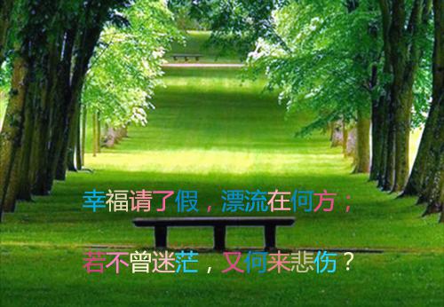 顾华北简念念周之言大结局免费阅读 顾华北简念念周之言全文小说