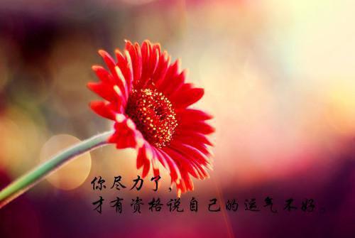 姜青黎唐祁熙(唐祁熙姜青黎)全文免费阅读无弹窗大结局_(姜青黎唐祁熙免费阅读)唐祁熙姜青黎无弹窗最新章节列表（姜青黎唐祁熙）