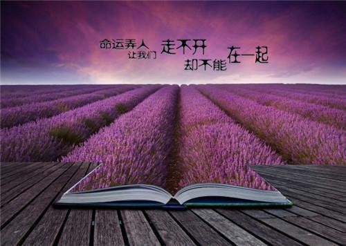 作者为李木子Lin的小说年至三十猛吃回头草阅读