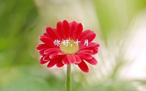 肖寒苏月：杀手重生，我的老爸是皇帝（苏月肖寒）全文免费阅读无弹窗大结局_（苏月肖寒）肖寒苏月：杀手重生，我的老爸是皇帝免费阅读无弹窗最新章节列表（肖寒苏月：杀手重生，我的老爸是皇帝）