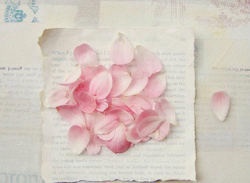 郁棠楚时钧小说全文(郁棠楚时钧)全文免费阅读无弹窗大结局_ (郁棠楚时钧小说全文)郁棠楚时钧最新章节列表(郁棠楚时钧小说全文)