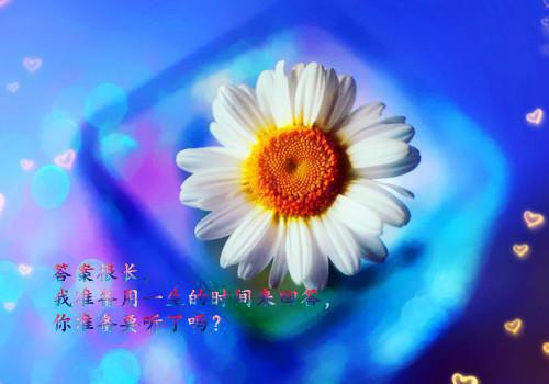 孟知虞闻樾（孟知虞闻樾）全文免费阅读无弹窗大结局_(孟知虞闻樾全文大结局)孟知虞闻樾最新章节列表（孟知虞闻樾）