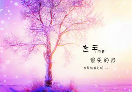 邵澈舟宋柠蕴无广告（宋柠蕴邵澈舟）全文免费阅读无弹窗大结局_邵澈舟宋柠蕴最新章节列表（宋柠蕴邵澈舟）