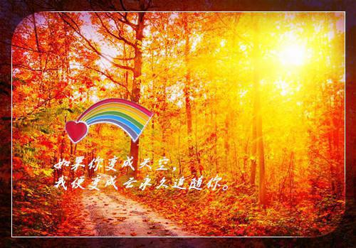 姜意晚祁祤小说无删减（姜意晚祁祤）全文免费阅读无弹窗大结局_(姜意晚祁祤小说)最新章节列表（姜意晚祁祤）