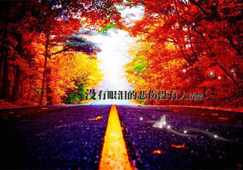 良心推荐2023最火满分小说白苗苗秦慕主角暴君们的四岁半闺女全文完整版免费阅读