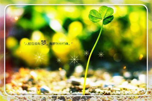 精选篇章穿成病娇相公掌中欢（宋清月宋清慈）最新推荐_最新推荐精选篇章穿成病娇相公掌中欢（宋清月宋清慈）