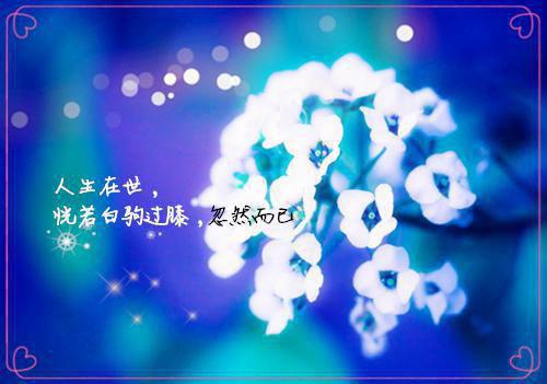 江若星厉寒州小说目录 江若星厉寒州完整免费版阅读