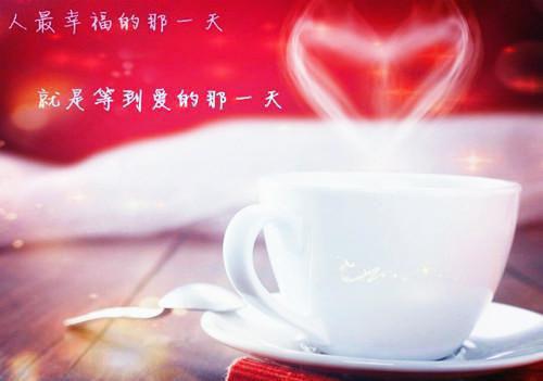 沈稚茵靳余生免费阅读（靳余生沈稚茵）全文免费阅读无弹窗大结局_沈稚茵靳余生免费阅读最新章节列表（靳余生沈稚茵）
