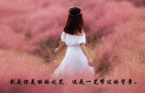 江弘宣袁妍纯全文（袁妍纯江弘宣）全文免费阅读无弹窗大结局_江弘宣袁妍纯免费最新章节列表（袁妍纯江弘宣）