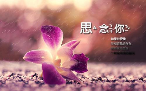 觉醒魅魔体质后，我一口气钓了三个18章在线阅读 叶呈裴森陈述全文阅读