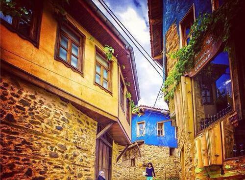 金主太正经黎梨任杨越小说完整版阅读