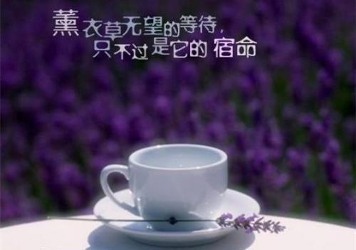 开局抓捕世子，王妃夜半来访全文小说沈炼大周最新章节阅读