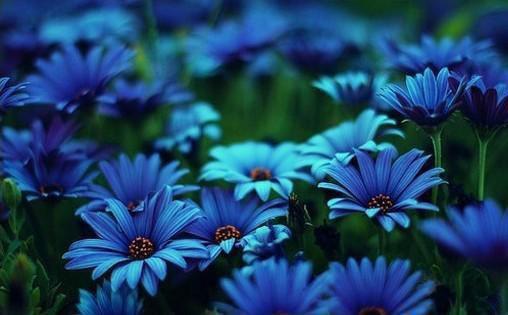 米饭人生全文免费阅读（陆矜念黎萧）小说全文免费阅读无弹窗_（米饭人生）小说全文免费阅读最新章节列表（陆矜念黎萧）