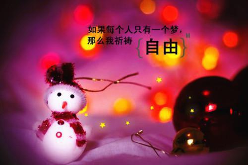 江晚念沈妄（和死对头上恋综后，全网磕疯了）全文免费阅读无弹窗大结局_江晚念沈妄最新章节列表（和死对头上恋综后，全网磕疯了）