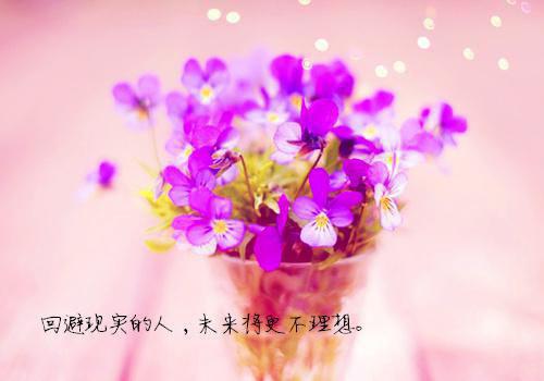 黎疏影霍纪璋小说（霍纪璋黎疏影）完结阅读无弹窗大结局_黎疏影霍纪璋小说免费阅读最新章节列表（霍纪璋黎疏影）