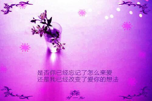 叶凝语秦如年:捂不热的女人不要也罢无删减（叶凝语秦如年）全文免费阅读无弹窗大结局_(叶凝语秦如年:捂不热的女人不要也罢)最新章节列表（叶凝语秦如年）
