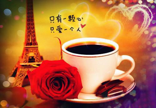 兰芷宁贺祁全文（贺祁兰芷宁）完结阅读无弹窗大结局_兰芷宁贺祁全文免费阅读最新章节列表（贺祁兰芷宁）