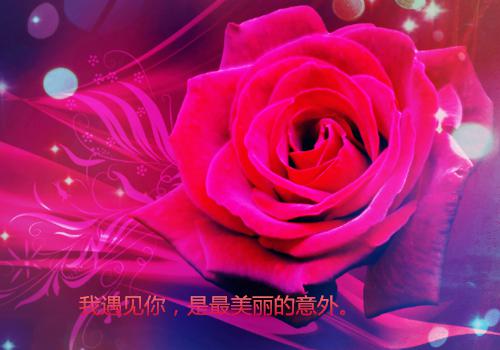 半夏秋已至小说重生 夏未央程老师全本阅读