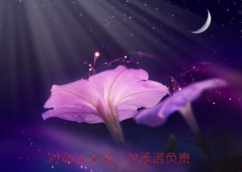 高糖同感全文免费阅读（黎念纪宴礼）全文免费阅读无弹窗大结局_高糖同感全文免费阅读（黎念纪宴礼）
