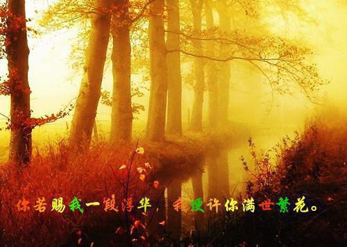 周念余霍择钦全文（霍择钦周念余）完整版小说阅读_周念余霍择钦全本列表免费（霍择钦周念余）