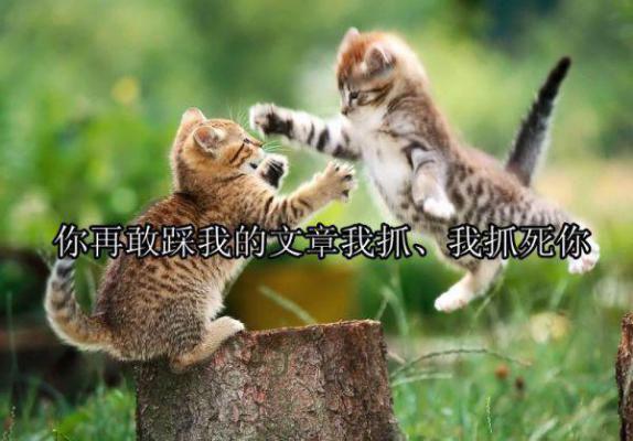 等待情人的情人节散文
