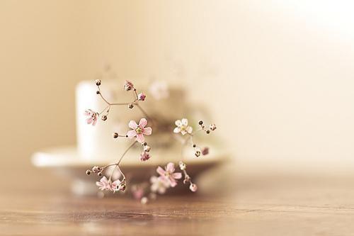 傅钦喻宁是哪部小说的主角，喻宁傅钦全文在线赏析