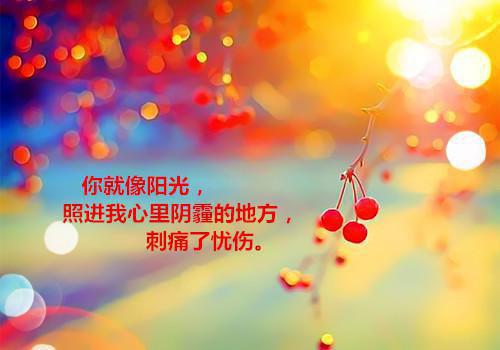 谢霁川楚清歌（楚清歌谢霁川全文免费）完结阅读无弹窗大结局_谢霁川楚清歌最新章节列表（楚清歌谢霁川全文免费）