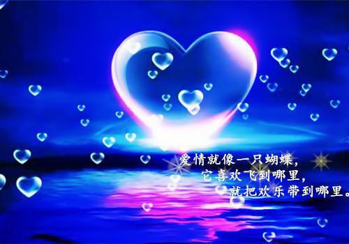 陶乐萱明风瑞小说名字 陶乐萱明风瑞全文免费阅读