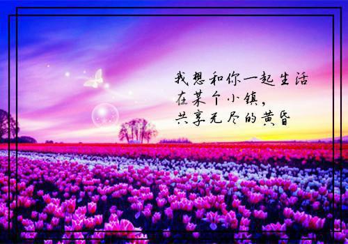 莫糖秦骁（秦骁莫糖）在线阅读小说全文无删减-秦骁莫糖小说大结局