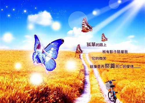 我的老师散文