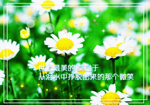 主角是白洛汐厉烬的小说免费阅读全文大结局