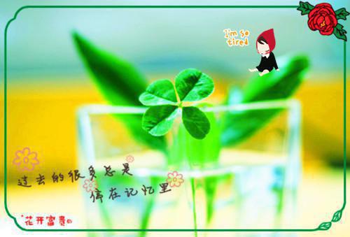 沈颜陆执免费阅读小说 沈颜陆执第三章