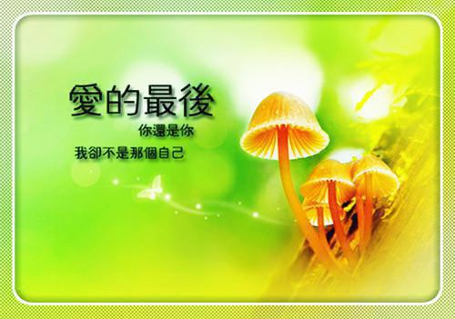 沈潇苓楚明暄（沈潇苓楚明暄小说）全文免费阅读无弹窗大结局_沈潇苓楚明暄最新章节列表（沈潇苓楚明暄小说）