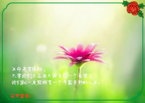 教师节赞美教师诗歌朗诵稿
