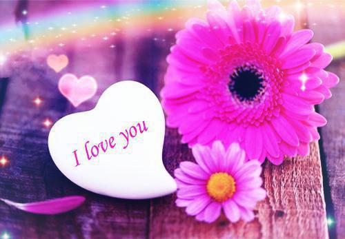 应淮林倾妍温瑾完整未删减版在线阅读 应淮林倾妍温瑾结局